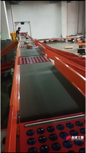 斜擺輪式自動(dòng)分揀線