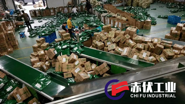 物流中心皮帶輸送線CF-014(圖1) 物流中心皮帶輸送線CF-014(圖1)